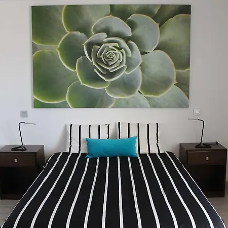 公寓 Apartamento Isla De Fuego